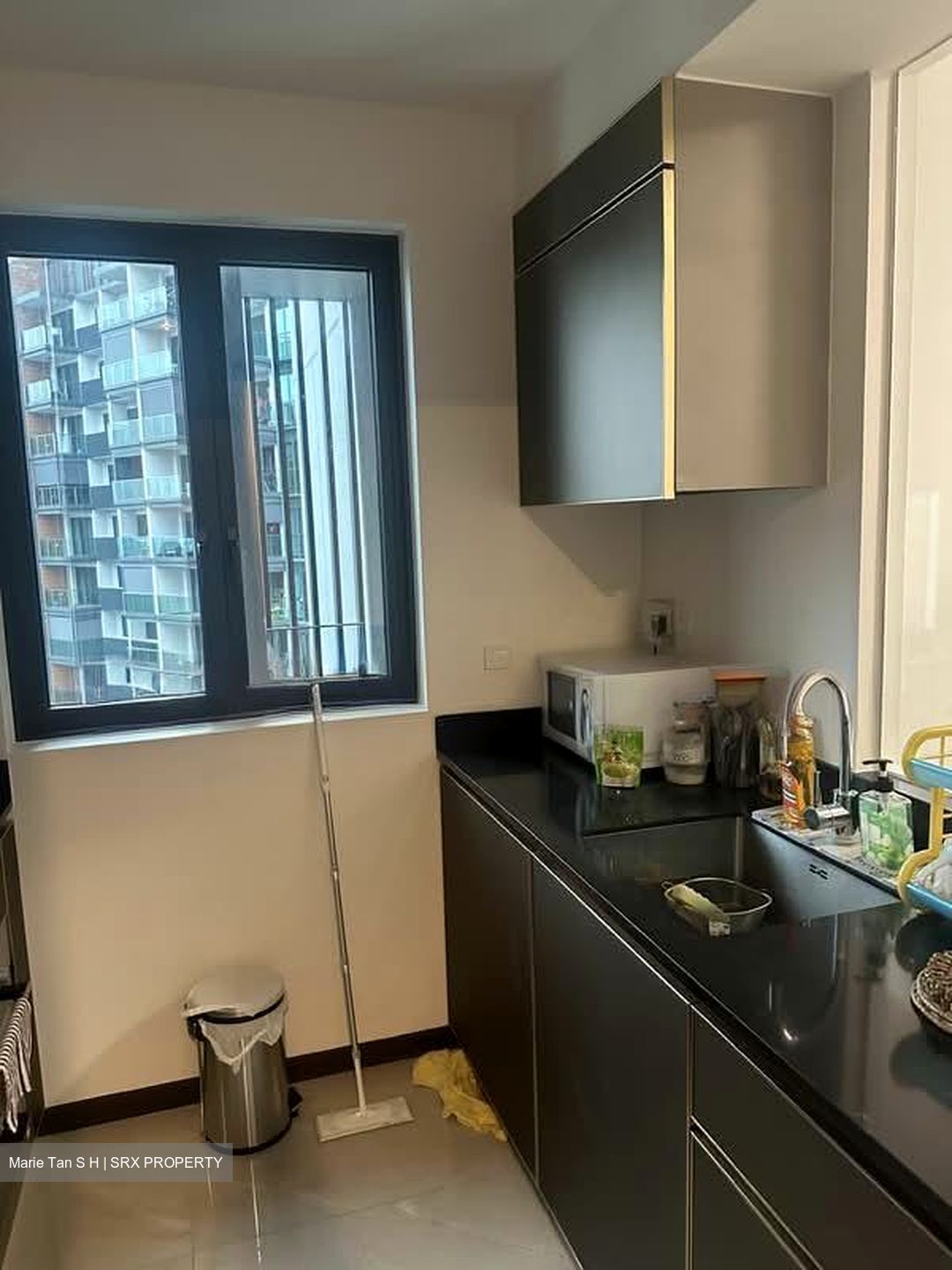 Normanton Park (D5), Apartment #554546011